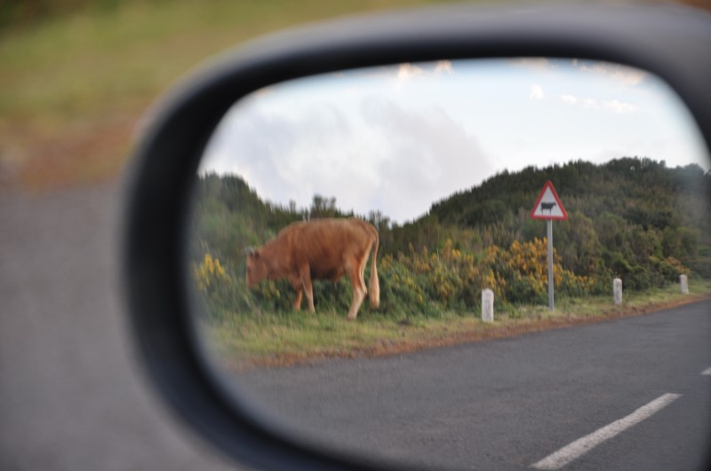 - 70 - Jde špatným směrem.jpg